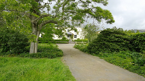 Yeo Valley 015