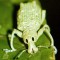 Don't Bug Me!