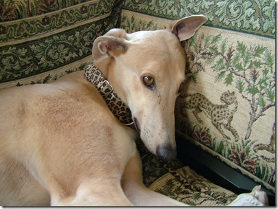 Someone, sulking