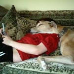 Comfy