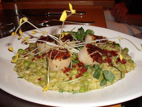 Maine scallops Maine scallops