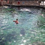 Shark reef