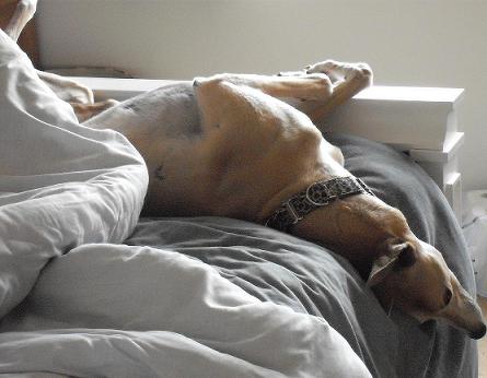 I'm just snatching 40 winks...
