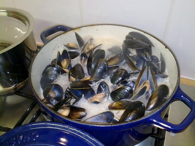 Mussels