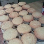 Cakey buns