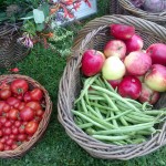 Fresh fruit and veg at Sheridans Farmers' Market, Co Meath
