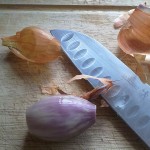 Shallot