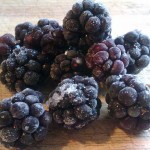 Frosty berries