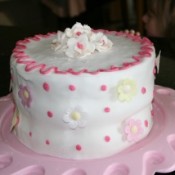 Nova from Cherished by Me's 60th birthday cake