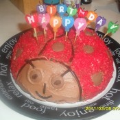 Paul Witney's ladybird cake