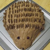 Vicky Smith's hedgehog cake