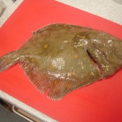 The Plaice