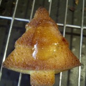 Tree complete with marmalade sliver
