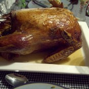 Free range Kelly Bronze turkey