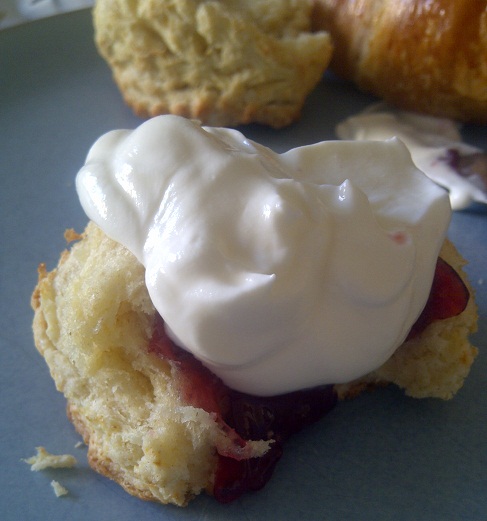 Scone with Greek yogurt and jam