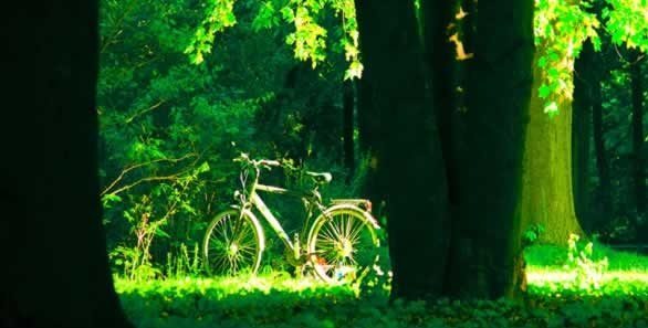 Pic: (c) Inntravel