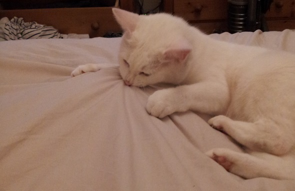 The foot bitey thing
