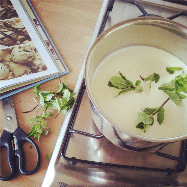 Garden mint and chocolate crisp ice cream