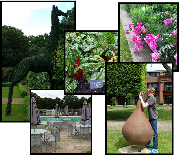 Gardens at The Grove
