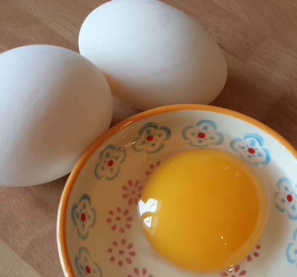 Duck egg