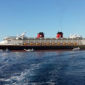 The Disney Magic