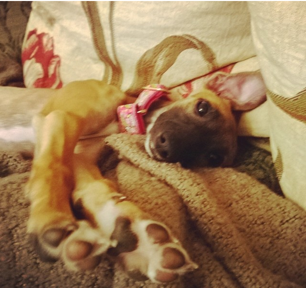 Lyra 4 months
