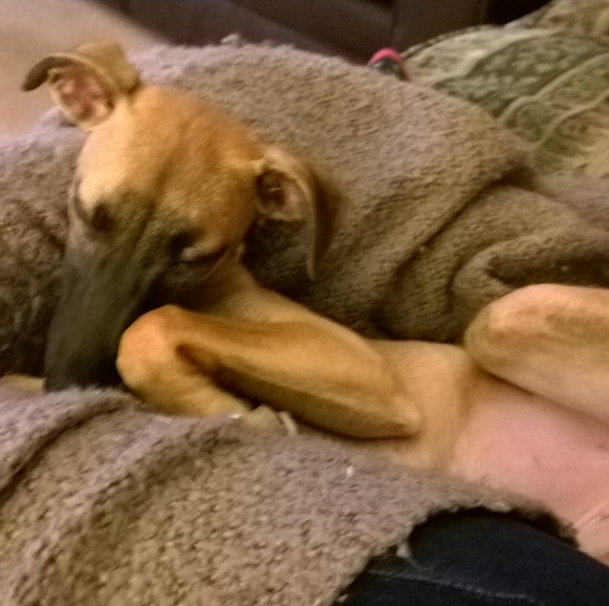 Lyra snuggle