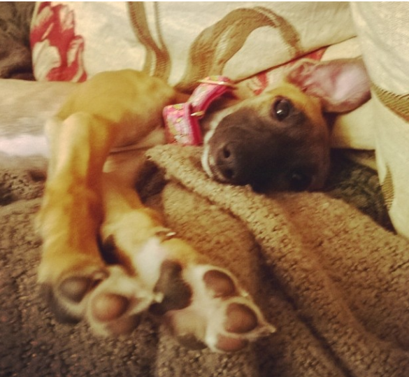 Cute