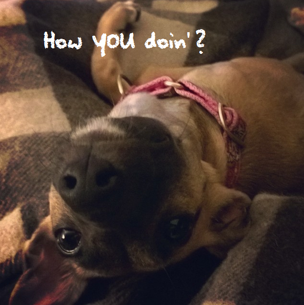 How you doin