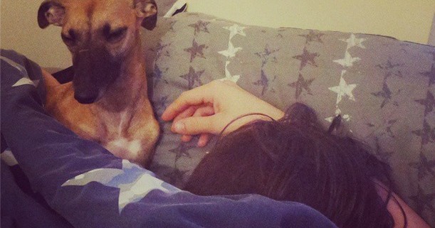 Lyra and Chas bed