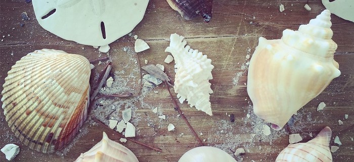 Beach treasures!
