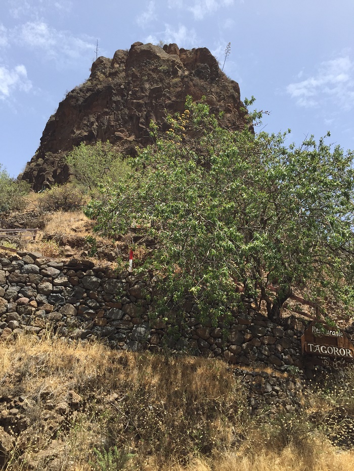 Barranco de Guayadeque