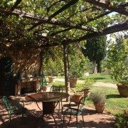 Café au lait on a sunny terrace