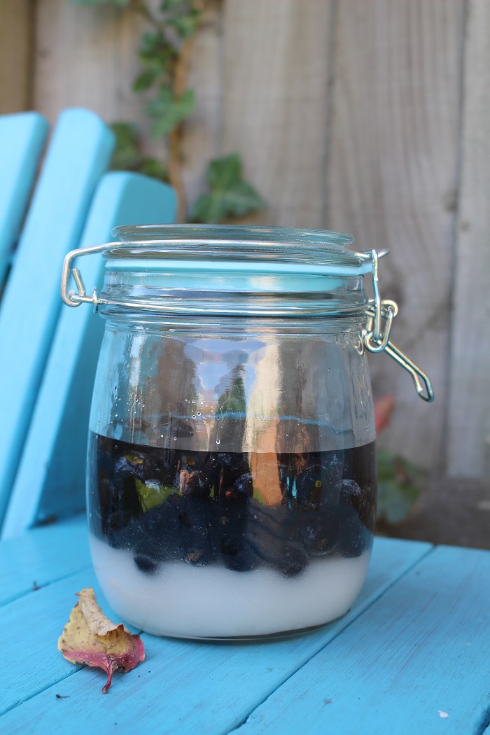 Sloe gin - before