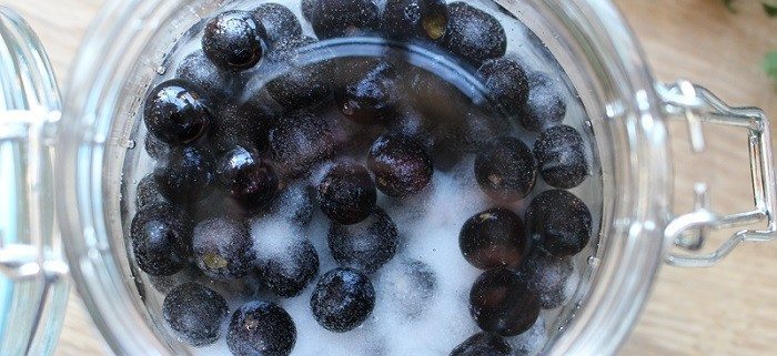 How to make sloe gin