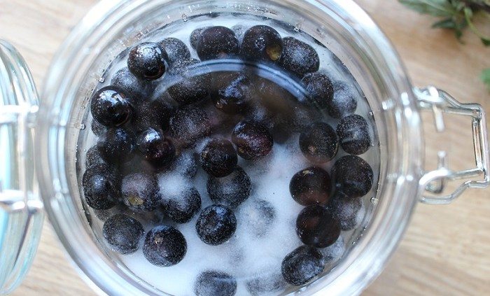 How to make sloe gin