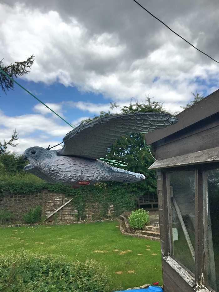 Plastic bird of prey