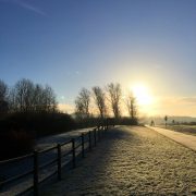 2017: my year of living thoughtfully