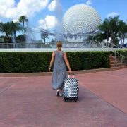 2017: new Disney travel adventures