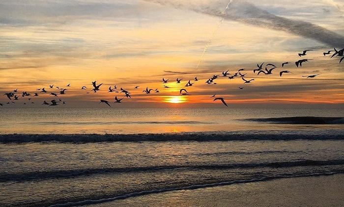 Sunrise on Main Beach, Fernandina Beach, Amelia Island