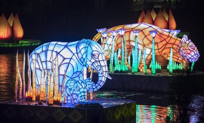 Rivers of Light at Disney's Animal Kingdom