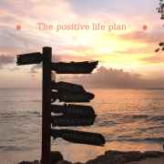 The positive life plan self