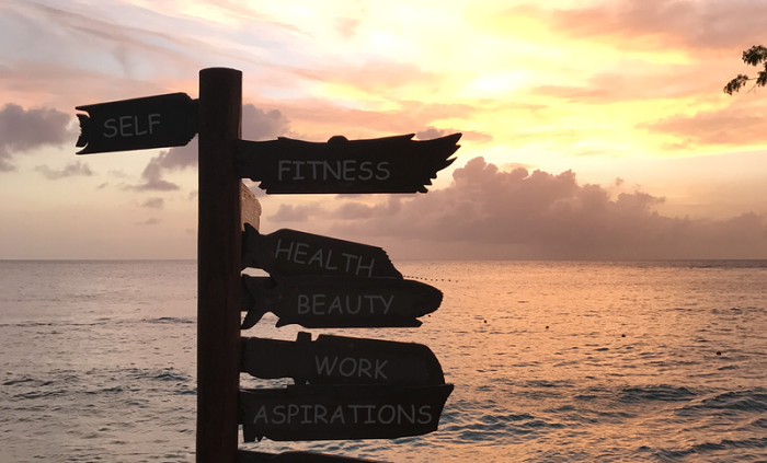 The positive life plan self