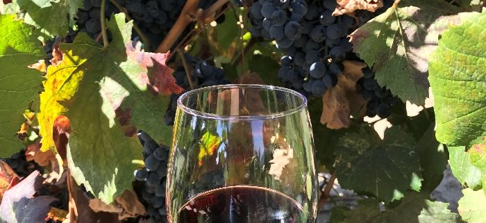 Discovering Temecula wine country with Virgin Holidays Experiences