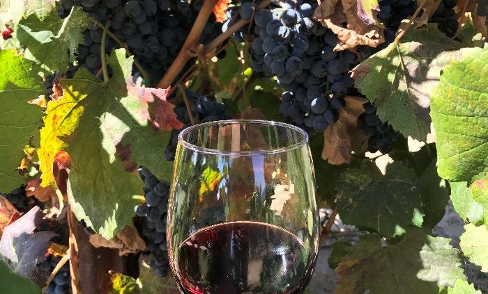 Discovering Temecula wine country with Virgin Holidays Experiences