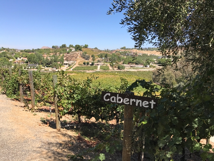 The gorgeous view across Oak Mountain Winery's vines