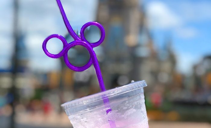 My must do experiences at Walt Disney World Resort, Florida