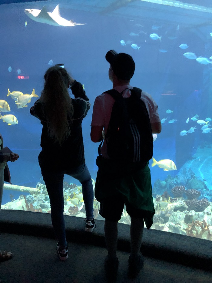 Checking out the aquarium at the Nemo and Friends Pavilion, Epcot