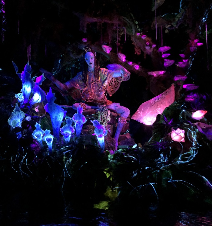 The Na'vi River Journey