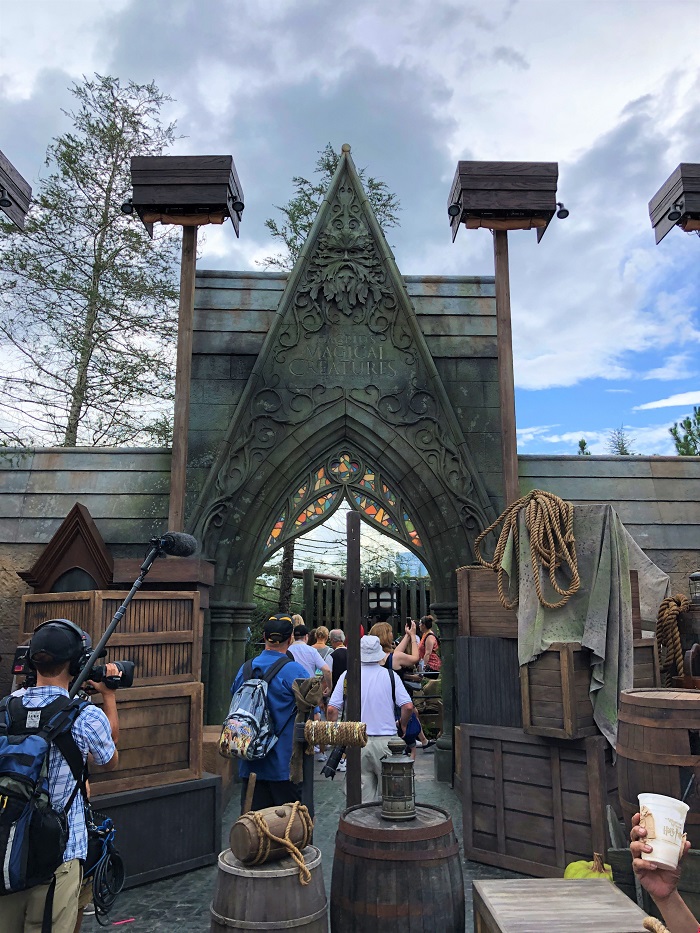 Just before our very first glimpse of Hagrid's Magical Creatures Motorbike Adventure